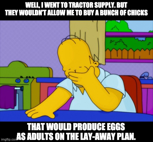 Lay-a-way | WELL, I WENT TO TRACTOR SUPPLY. BUT THEY WOULDN’T ALLOW ME TO BUY A BUNCH OF CHICKS; THAT WOULD PRODUCE EGGS AS ADULTS ON THE LAY-AWAY PLAN. | image tagged in disappointed | made w/ Imgflip meme maker