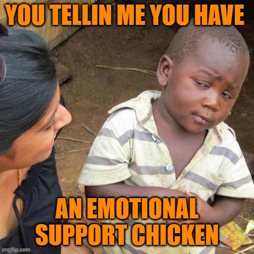 Third World Skeptical Kid | YOU TELLIN ME YOU HAVE; AN EMOTIONAL SUPPORT CHICKEN | image tagged in memes,third world skeptical kid | made w/ Imgflip meme maker