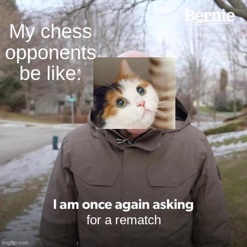 My Chess Life be Like: | My chess opponents be like:; for a rematch | image tagged in memes,bernie i am once again asking for your support,chess,stockfish | made w/ Imgflip meme maker