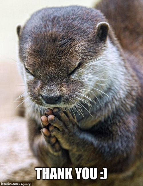 Thank you Lord Otter | THANK YOU :) | image tagged in thank you lord otter | made w/ Imgflip meme maker