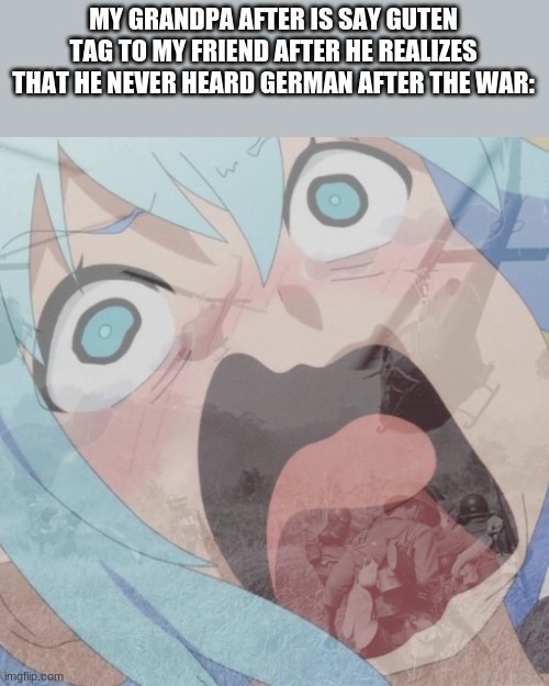 Aqua PTSD | MY GRANDPA AFTER IS SAY GUTEN TAG TO MY FRIEND AFTER HE REALIZES THAT HE NEVER HEARD GERMAN AFTER THE WAR: | image tagged in aqua ptsd | made w/ Imgflip meme maker