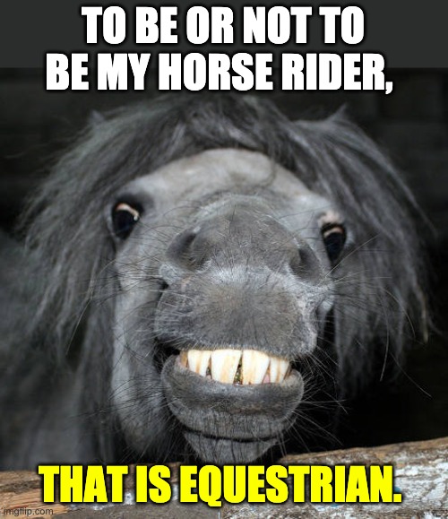 to be | TO BE OR NOT TO BE MY HORSE RIDER, THAT IS EQUESTRIAN. | image tagged in smiling horse | made w/ Imgflip meme maker