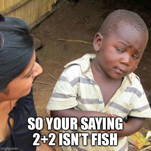 Third World Skeptical Kid Meme | SO YOUR SAYING 2+2 ISN’T FISH | image tagged in memes,third world skeptical kid | made w/ Imgflip meme maker