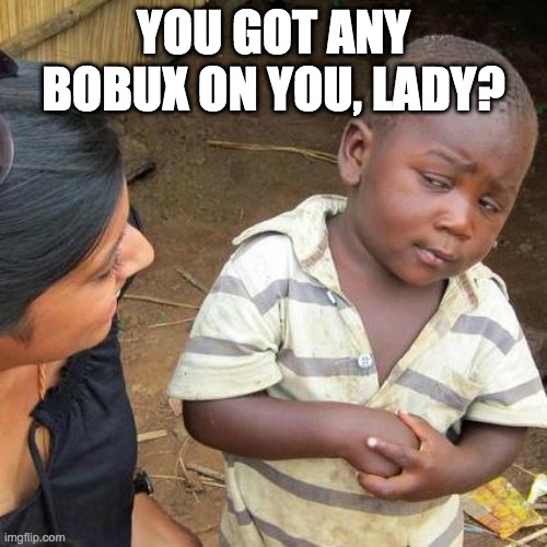 Third World Skeptical Kid Meme | YOU GOT ANY BOBUX ON YOU, LADY? | image tagged in memes,third world skeptical kid | made w/ Imgflip meme maker