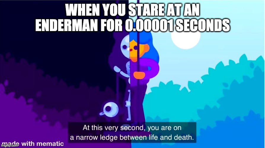 Enderman | WHEN YOU STARE AT AN ENDERMAN FOR 0.00001 SECONDS | image tagged in life and death | made w/ Imgflip meme maker