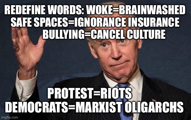 Whoever controls the language wins the argument | REDEFINE WORDS: WOKE=BRAINWASHED SAFE SPACES=IGNORANCE INSURANCE           BULLYING=CANCEL CULTURE; PROTEST=RIOTS      DEMOCRATS=MARXIST OLIGARCHS | image tagged in biden s chin,woke,1984,george orwell,democrats | made w/ Imgflip meme maker