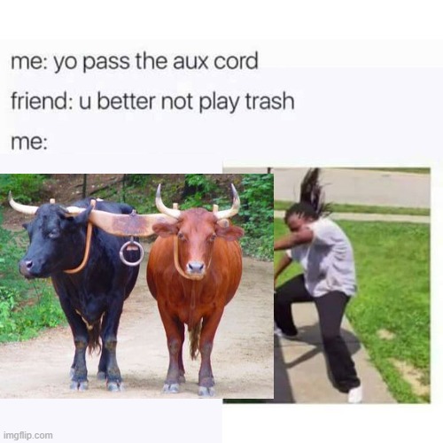 Geddit? | image tagged in memes,yo pass the aux cord,aux cord,puns,oxen | made w/ Imgflip meme maker