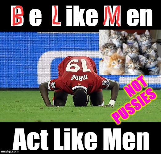 B e  L ike  M en - not pussies ! | NOT
PUSSIES | image tagged in premier league | made w/ Imgflip meme maker