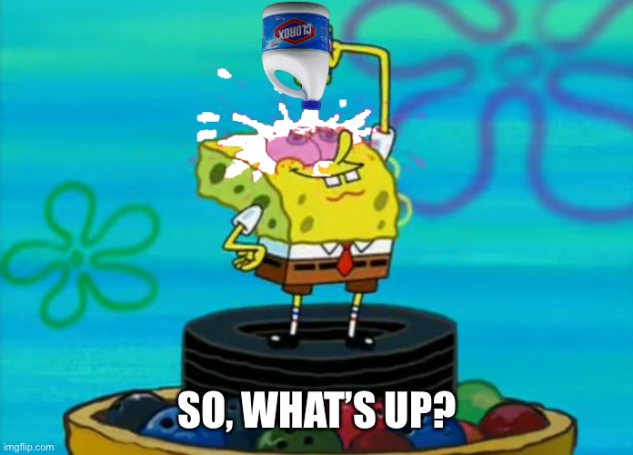 SpongeBob pouring bleach | SO, WHAT’S UP? | image tagged in spongebob pouring bleach | made w/ Imgflip meme maker