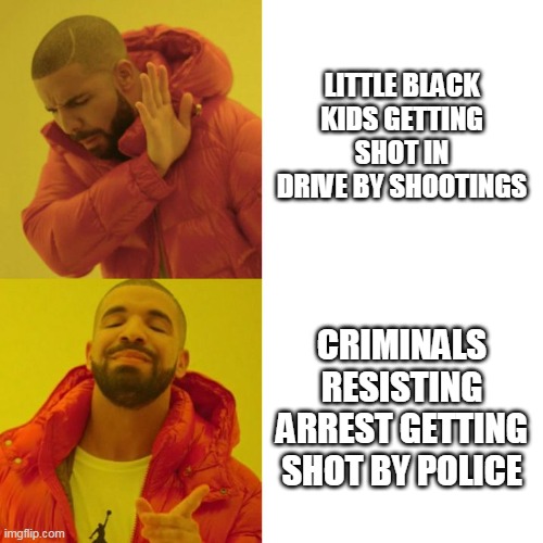 Drake Blank | LITTLE BLACK KIDS GETTING SHOT IN DRIVE BY SHOOTINGS; CRIMINALS RESISTING ARREST GETTING SHOT BY POLICE | image tagged in drake blank | made w/ Imgflip meme maker
