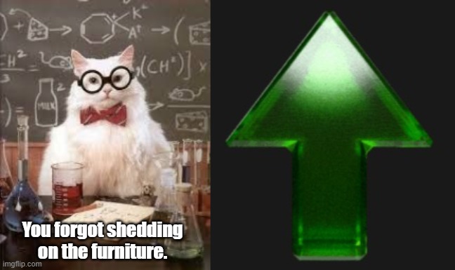 You forgot shedding on the furniture. | image tagged in smart cat,upvote | made w/ Imgflip meme maker