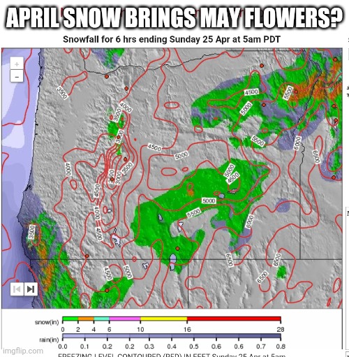 APRIL SNOW BRINGS MAY FLOWERS? | image tagged in snow | made w/ Imgflip meme maker