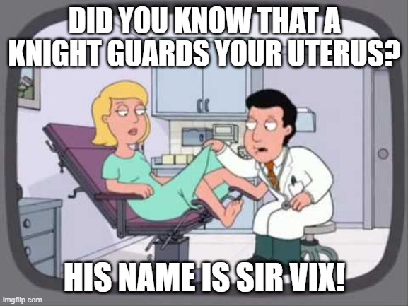 Hail the Guard | DID YOU KNOW THAT A KNIGHT GUARDS YOUR UTERUS? HIS NAME IS SIR VIX! | image tagged in sad old man gay gynecologist family guy | made w/ Imgflip meme maker