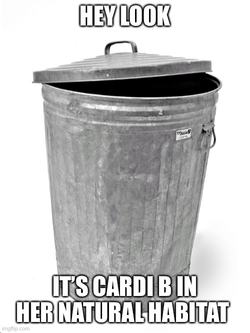 Trash Can | HEY LOOK; IT’S CARDI B IN HER NATURAL HABITAT | image tagged in trash can | made w/ Imgflip meme maker