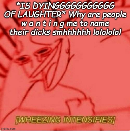 Wheeze | *IS DYINGGGGGGGGGGG OF LAUGHTER* Why are people w a n t i n g me to name their dicks smhhhhhh lolololol | image tagged in wheeze | made w/ Imgflip meme maker