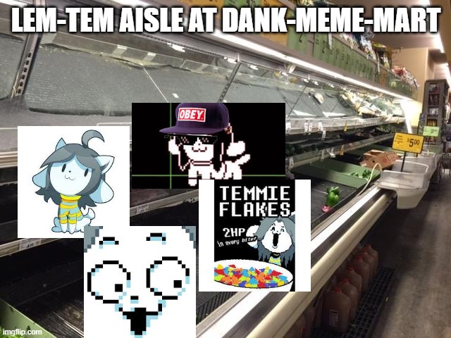 Lem-Tem aisle |  LEM-TEM AISLE AT DANK-MEME-MART | image tagged in empty grocery store | made w/ Imgflip meme maker