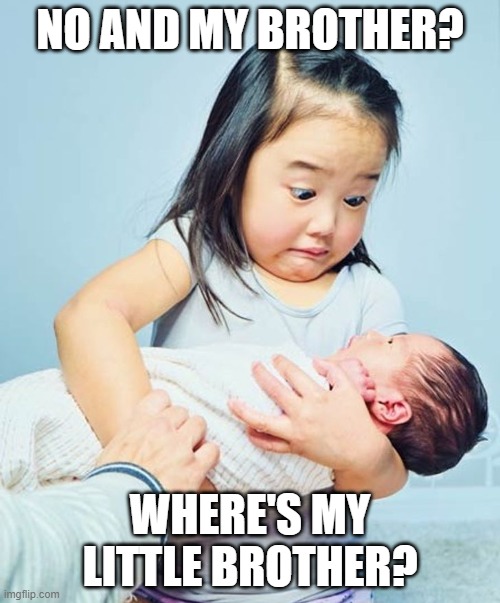 no and my brother? | NO AND MY BROTHER? WHERE'S MY LITTLE BROTHER? | image tagged in brothers | made w/ Imgflip meme maker