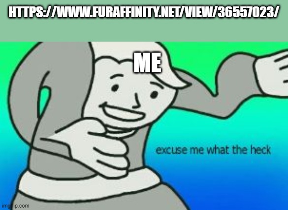 Excuse Me What The Heck | HTTPS://WWW.FURAFFINITY.NET/VIEW/36557023/; ME | image tagged in excuse me what the heck | made w/ Imgflip meme maker