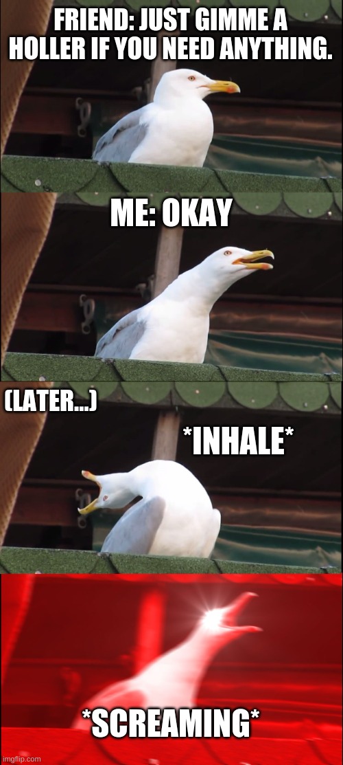 Inhaling Seagull Meme | FRIEND: JUST GIMME A HOLLER IF YOU NEED ANYTHING. ME: OKAY; (LATER...); *INHALE*; *SCREAMING* | image tagged in memes,inhaling seagull | made w/ Imgflip meme maker