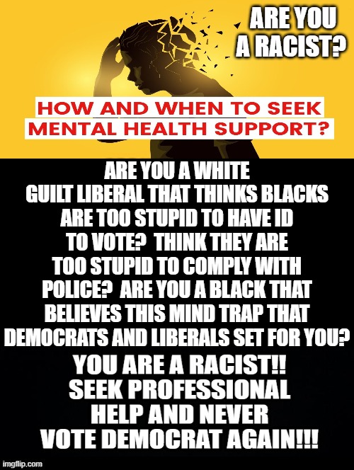If you are a RACIST!! Seek professional help! | ARE YOU A RACIST? ARE YOU A WHITE GUILT LIBERAL THAT THINKS BLACKS ARE TOO STUPID TO HAVE ID TO VOTE?  THINK THEY ARE TOO STUPID TO COMPLY WITH POLICE?  ARE YOU A BLACK THAT BELIEVES THIS MIND TRAP THAT DEMOCRATS AND LIBERALS SET FOR YOU? | image tagged in racist,stupid liberals,morons,idiots,blm,cowards | made w/ Imgflip meme maker
