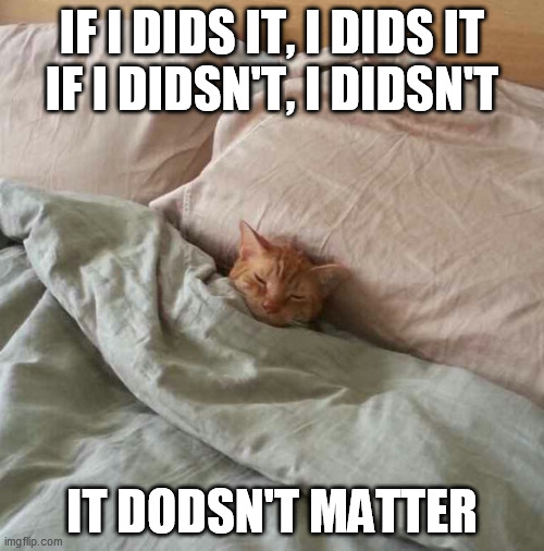 IF I DIDS IT, I DIDS IT | IF I DIDS IT, I DIDS IT
IF I DIDSN'T, I DIDSN'T; IT DODSN'T MATTER | image tagged in cat,funny | made w/ Imgflip meme maker