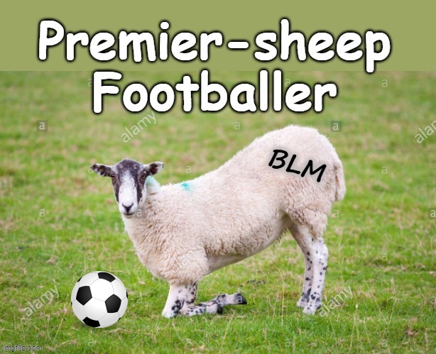 Premier-Sheep Footballer | image tagged in blm | made w/ Imgflip meme maker