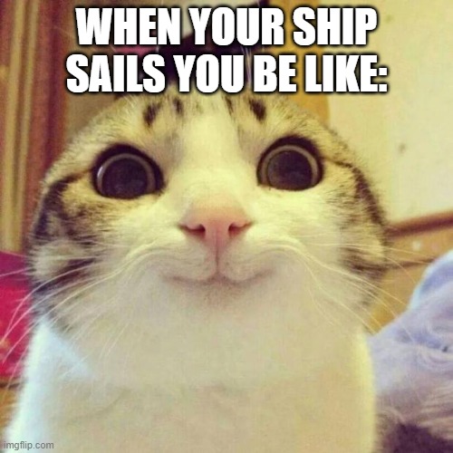 Smiling Cat | WHEN YOUR SHIP SAILS YOU BE LIKE: | image tagged in memes,smiling cat | made w/ Imgflip meme maker