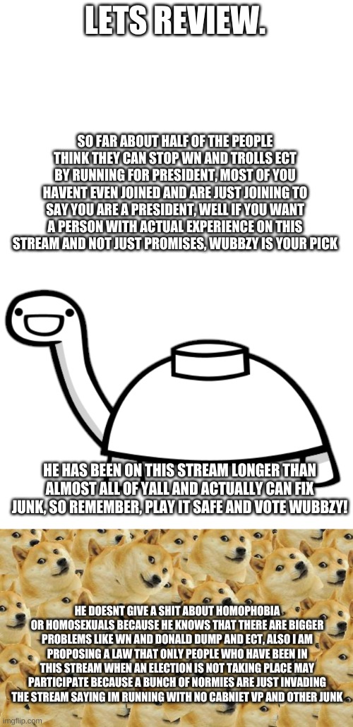 also remember mine turtle for HOC! | LETS REVIEW. SO FAR ABOUT HALF OF THE PEOPLE THINK THEY CAN STOP WN AND TROLLS ECT BY RUNNING FOR PRESIDENT, MOST OF YOU HAVENT EVEN JOINED AND ARE JUST JOINING TO SAY YOU ARE A PRESIDENT, WELL IF YOU WANT A PERSON WITH ACTUAL EXPERIENCE ON THIS STREAM AND NOT JUST PROMISES, WUBBZY IS YOUR PICK; HE HAS BEEN ON THIS STREAM LONGER THAN ALMOST ALL OF YALL AND ACTUALLY CAN FIX JUNK, SO REMEMBER, PLAY IT SAFE AND VOTE WUBBZY! HE DOESNT GIVE A SHIT ABOUT HOMOPHOBIA OR HOMOSEXUALS BECAUSE HE KNOWS THAT THERE ARE BIGGER PROBLEMS LIKE WN AND DONALD DUMP AND ECT, ALSO I AM PROPOSING A LAW THAT ONLY PEOPLE WHO HAVE BEEN IN THIS STREAM WHEN AN ELECTION IS NOT TAKING PLACE MAY PARTICIPATE BECAUSE A BUNCH OF NORMIES ARE JUST INVADING THE STREAM SAYING IM RUNNING WITH NO CABNIET VP AND OTHER JUNK | image tagged in blank white template,mine turtle,memes,multi doge | made w/ Imgflip meme maker