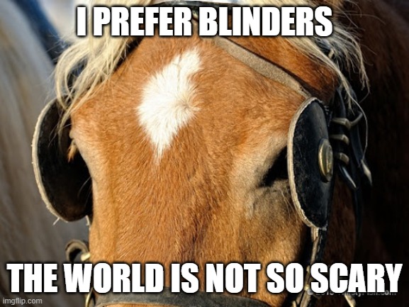 I PREFER BLINDERS THE WORLD IS NOT SO SCARY | made w/ Imgflip meme maker