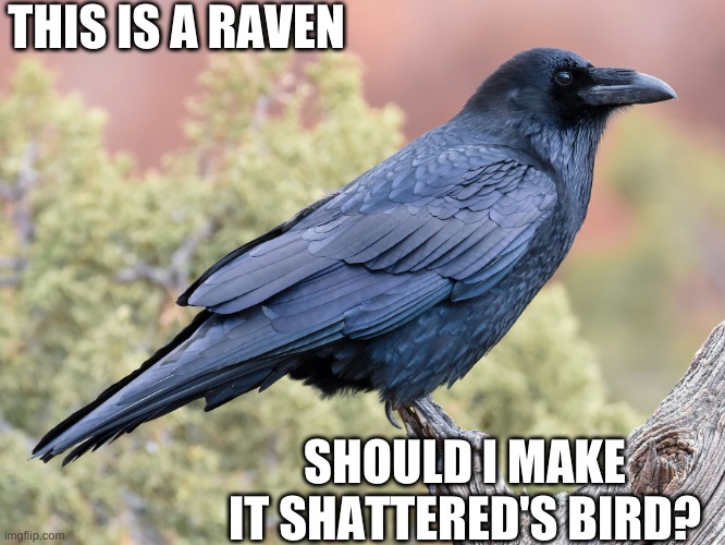 In my AU the goop twins have birds to scout for them. | THIS IS A RAVEN; SHOULD I MAKE IT SHATTERED'S BIRD? | made w/ Imgflip meme maker