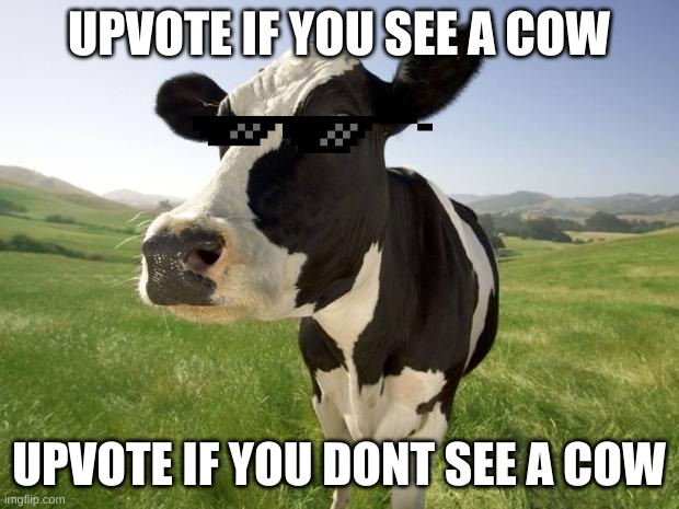 uh oh | UPVOTE IF YOU SEE A COW; UPVOTE IF YOU DONT SEE A COW | image tagged in cow | made w/ Imgflip meme maker