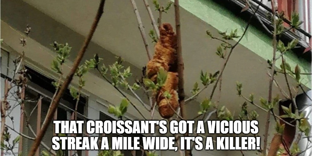 Killer Croissant! | THAT CROISSANT'S GOT A VICIOUS STREAK A MILE WIDE, IT'S A KILLER! | image tagged in killer croissant,croissant in tree | made w/ Imgflip meme maker