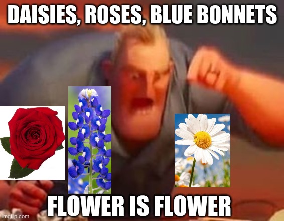 FLOWER IS FLOWER | DAISIES, ROSES, BLUE BONNETS; FLOWER IS FLOWER | image tagged in mr incredible mad | made w/ Imgflip meme maker