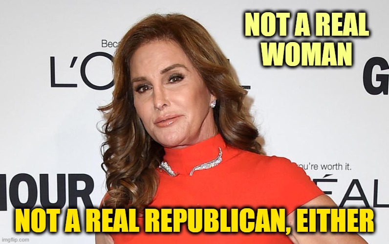 California is in too much trouble to suffer this obscene publicity stunt. | NOT A REAL
WOMAN; NOT A REAL REPUBLICAN, EITHER | image tagged in recall,california | made w/ Imgflip meme maker