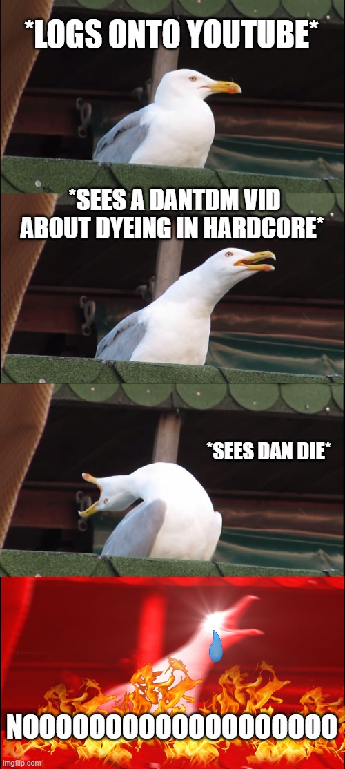 POST MEMES ABOUT DANS HARDCORE WORLD! | *LOGS ONTO YOUTUBE*; *SEES A DANTDM VID ABOUT DYEING IN HARDCORE*; *SEES DAN DIE*; NOOOOOOOOOOOOOOOOOOO | image tagged in memes,inhaling seagull | made w/ Imgflip meme maker
