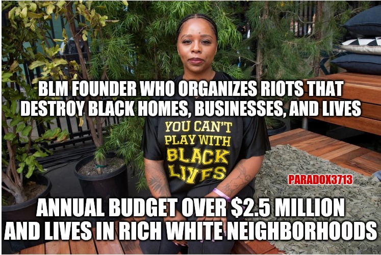 Fake Fact Checkers would have you think that she didnt use BLM donations to buy 4 homes in White neighborhoods. | BLM FOUNDER WHO ORGANIZES RIOTS THAT DESTROY BLACK HOMES, BUSINESSES, AND LIVES; PARADOX3713; ANNUAL BUDGET OVER $2.5 MILLION AND LIVES IN RICH WHITE NEIGHBORHOODS | image tagged in memes,funny,politics,black lives matter,blm,corruption | made w/ Imgflip meme maker
