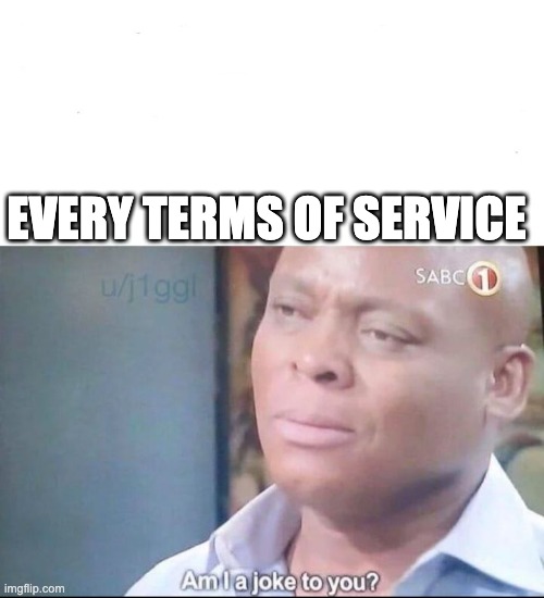 EVERY TERMS OF SERVICE | EVERY TERMS OF SERVICE | image tagged in am i a joke to you | made w/ Imgflip meme maker
