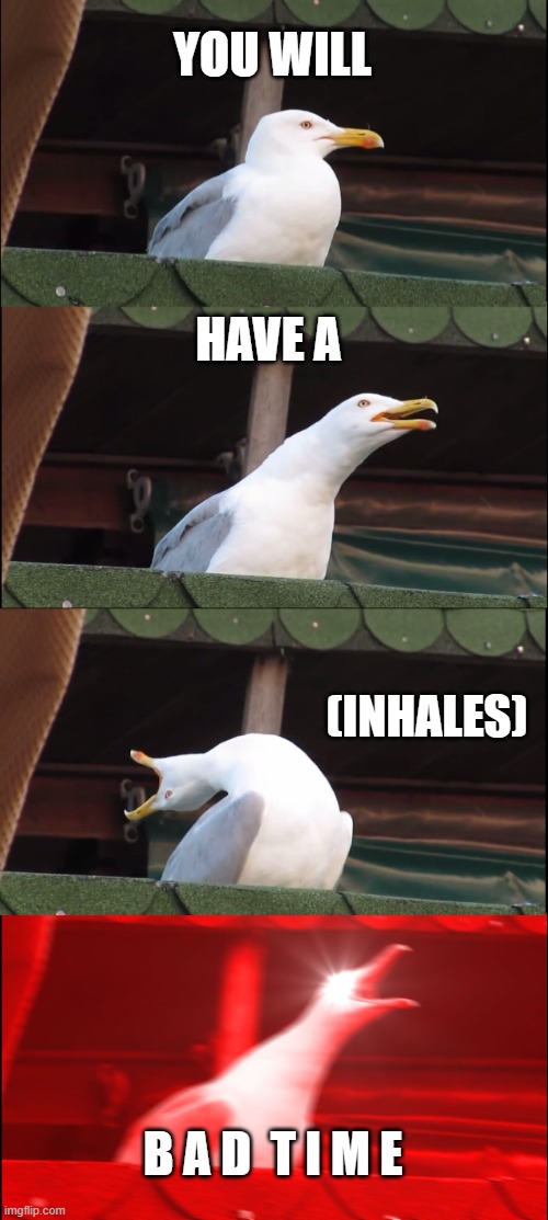 Inhaling Seagull | YOU WILL; HAVE A; (INHALES); B A D  T I M E | image tagged in memes,inhaling seagull | made w/ Imgflip meme maker
