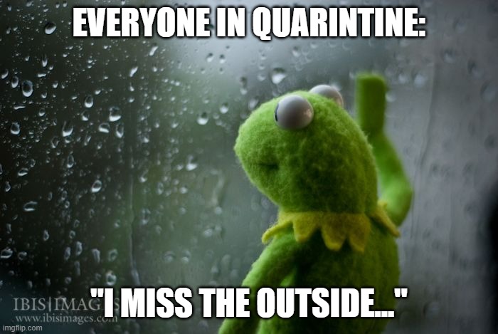 kermit window | EVERYONE IN QUARINTINE:; "I MISS THE OUTSIDE..." | image tagged in kermit window | made w/ Imgflip meme maker