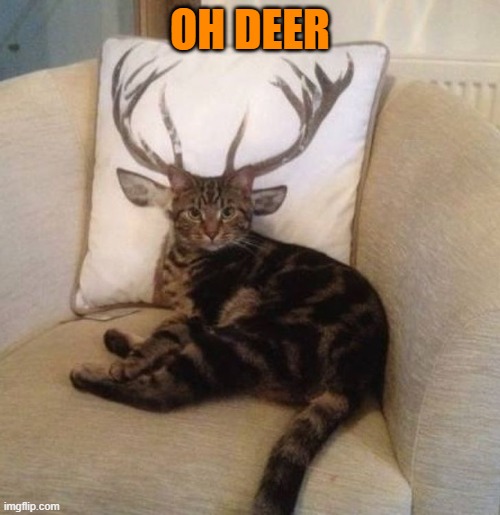 OH DEER | made w/ Imgflip meme maker