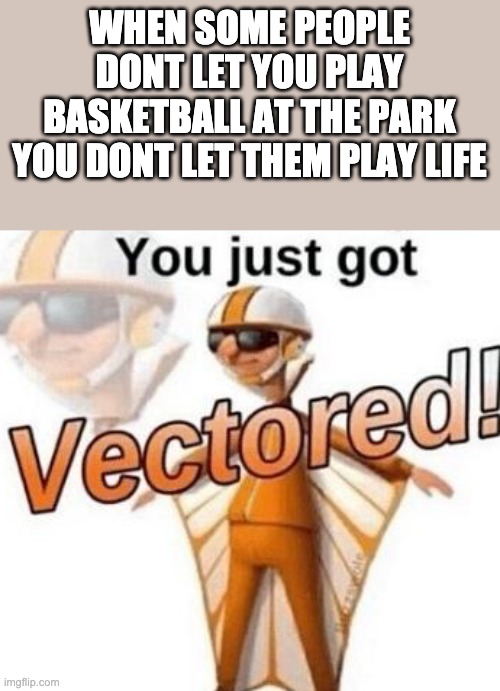 You just got vectored | WHEN SOME PEOPLE DONT LET YOU PLAY BASKETBALL AT THE PARK YOU DONT LET THEM PLAY LIFE | image tagged in you just got vectored | made w/ Imgflip meme maker