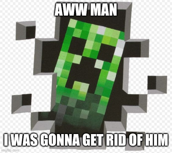 Minecraft Creeper | AWW MAN I WAS GONNA GET RID OF HIM | image tagged in minecraft creeper | made w/ Imgflip meme maker