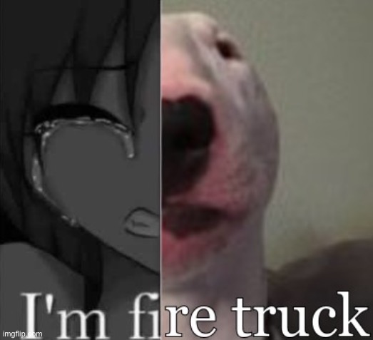 fire truck moment | image tagged in funny,memes,walter,funny memes | made w/ Imgflip meme maker