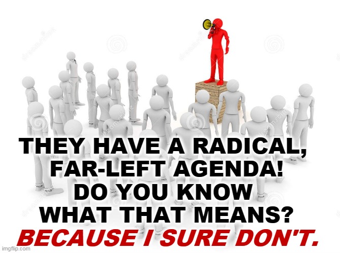 Idiot. | THEY HAVE A RADICAL, 
FAR-LEFT AGENDA!
DO YOU KNOW 
WHAT THAT MEANS? BECAUSE I SURE DON'T. | image tagged in republican,politician,ignorant,noise | made w/ Imgflip meme maker