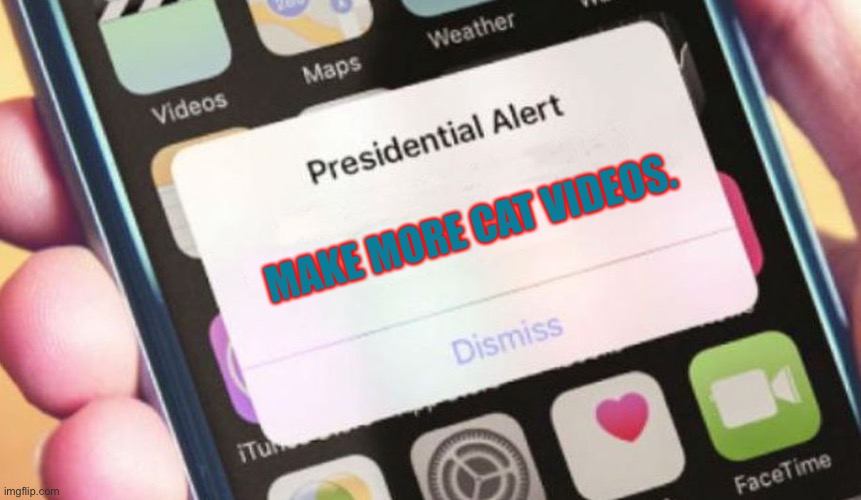 CAtS ArE AMeRicA | MAKE MORE CAT VIDEOS. | image tagged in memes,presidential alert | made w/ Imgflip meme maker