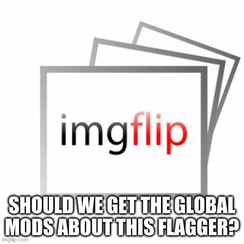 Imgflip | SHOULD WE GET THE GLOBAL MODS ABOUT THIS FLAGGER? | image tagged in imgflip | made w/ Imgflip meme maker