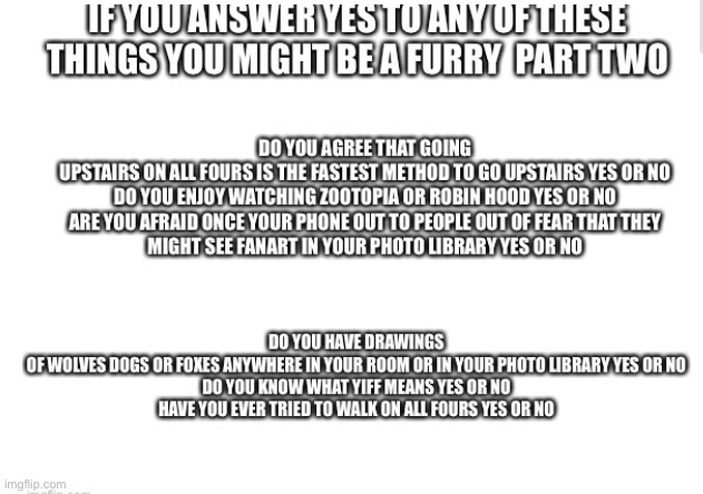 This is for humor, but do put your answers below! | image tagged in furry | made w/ Imgflip meme maker