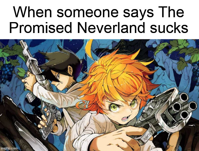 When someone says The Promised Neverland sucks | image tagged in guns | made w/ Imgflip meme maker