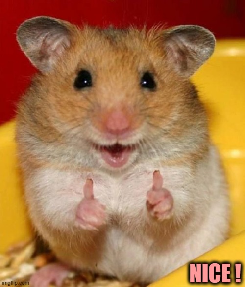 ◄► Reaction hamster says "nice!" while giving two thumbs up | NICE ! | image tagged in well done,thumbs up,hamster,nice,comment,reaction | made w/ Imgflip meme maker