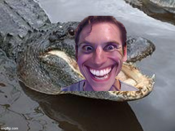 Alligator Wut | image tagged in alligator wut | made w/ Imgflip meme maker